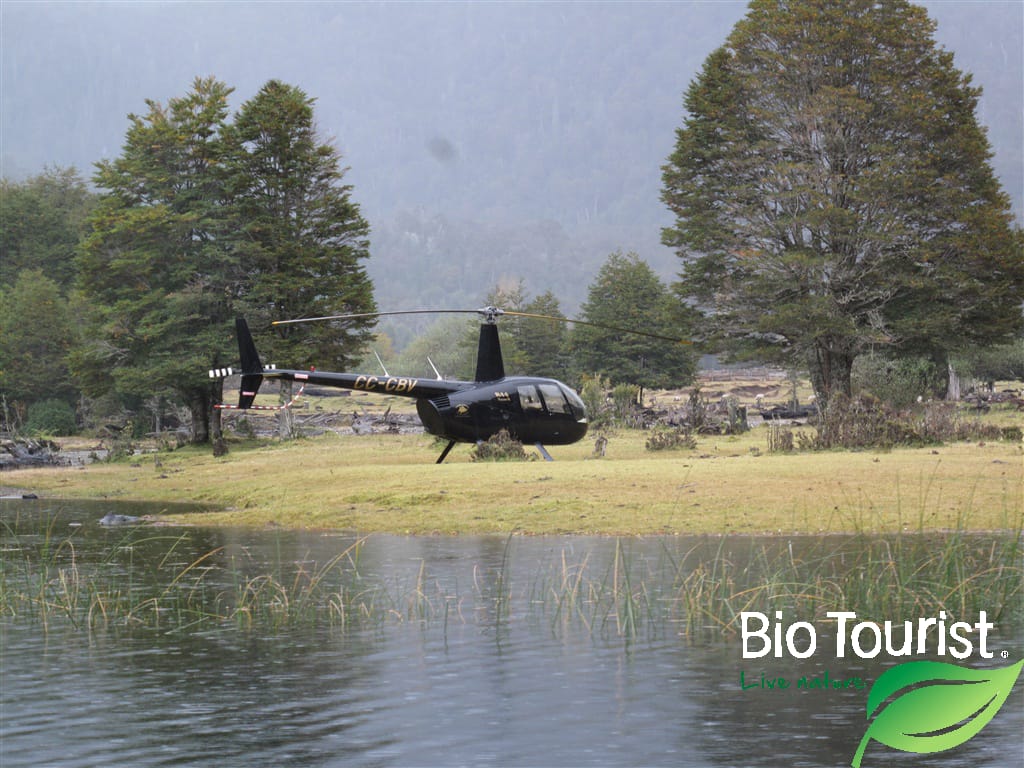 Pescar en Chile - Imagen 4