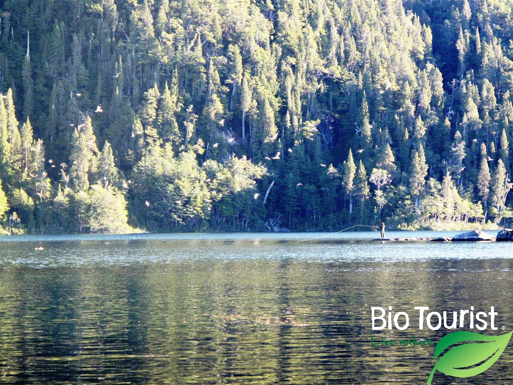 Pescar en Chile - Imagen 3