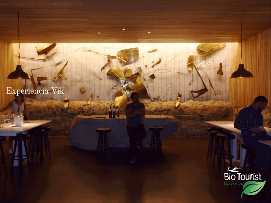 Viñedos VIK - Imagen 7