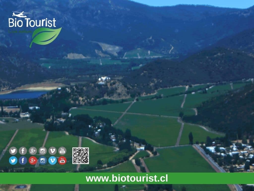 Viñedos VIK - Imagen 8