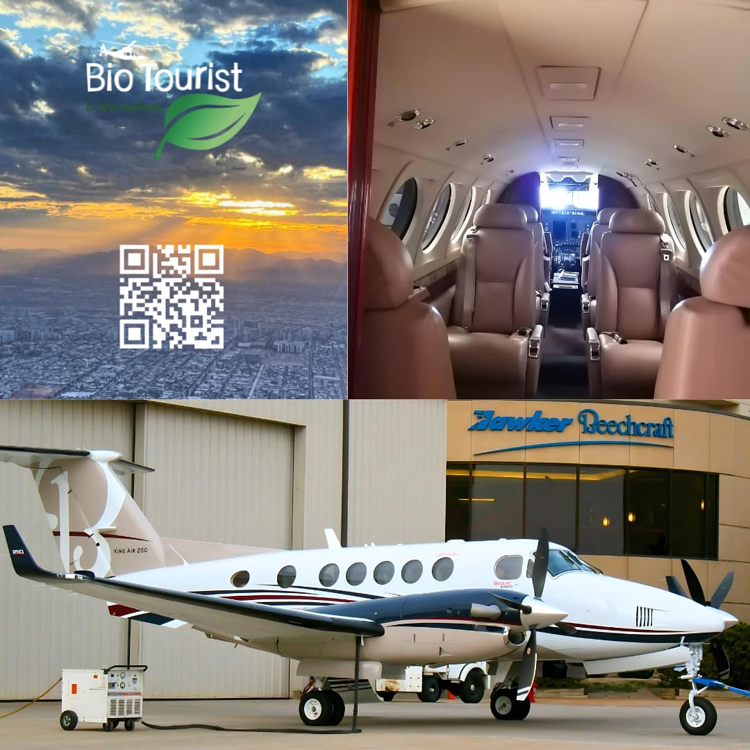 Robinson Crusoe Isla Selkirk. - Imagen 10