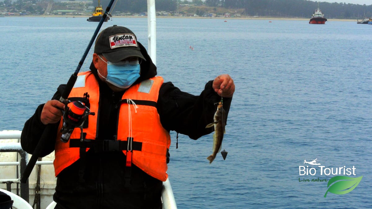 Pescar en Chile - Imagen 6