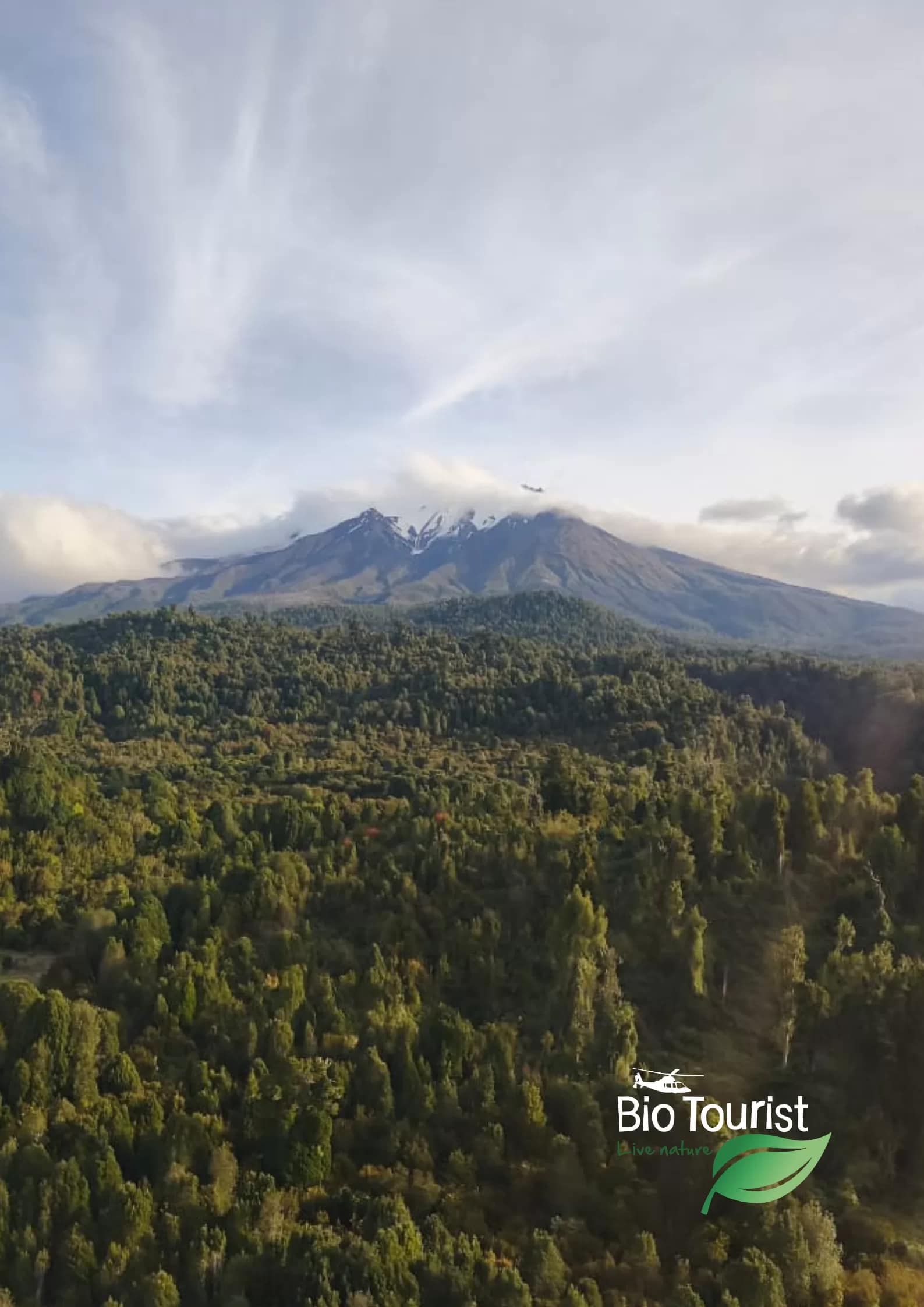 Paseo en helicóptero por El Volcán Osorno - Imagen 7