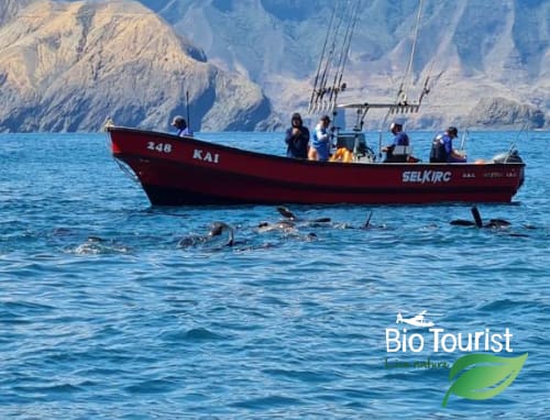 Pescar en Chile - Imagen 10