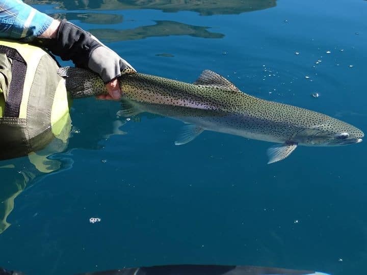 Pescar en Chile - Imagen 5